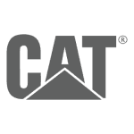cat-grey